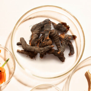 Nut Grass Root
