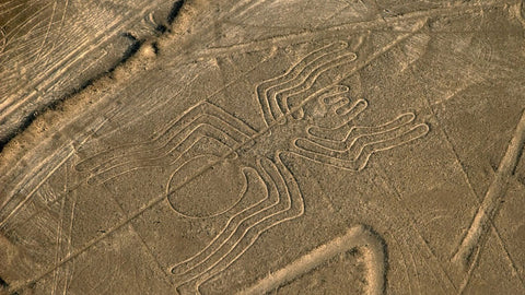 Géogplyphe de Nazca Arraigné