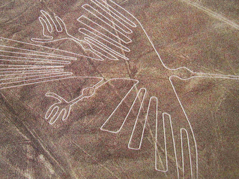 The Nazca Geoglyphs