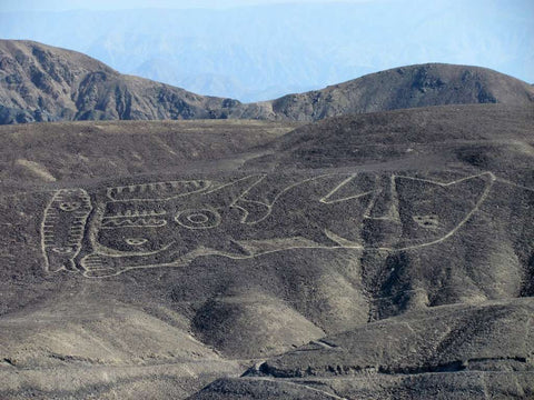 Géoglyphe de Nazca Pérou