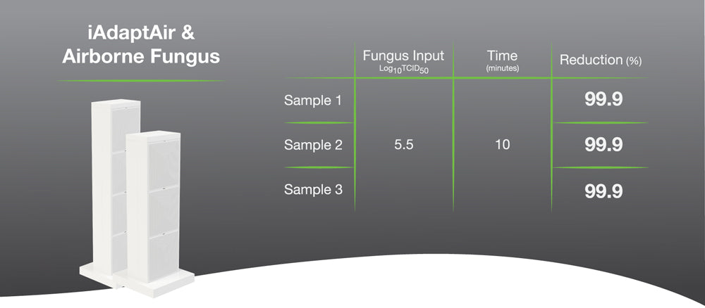 Chart illustrating results of scientific studies testing Air Oasis purifiers against air-borne fungus.