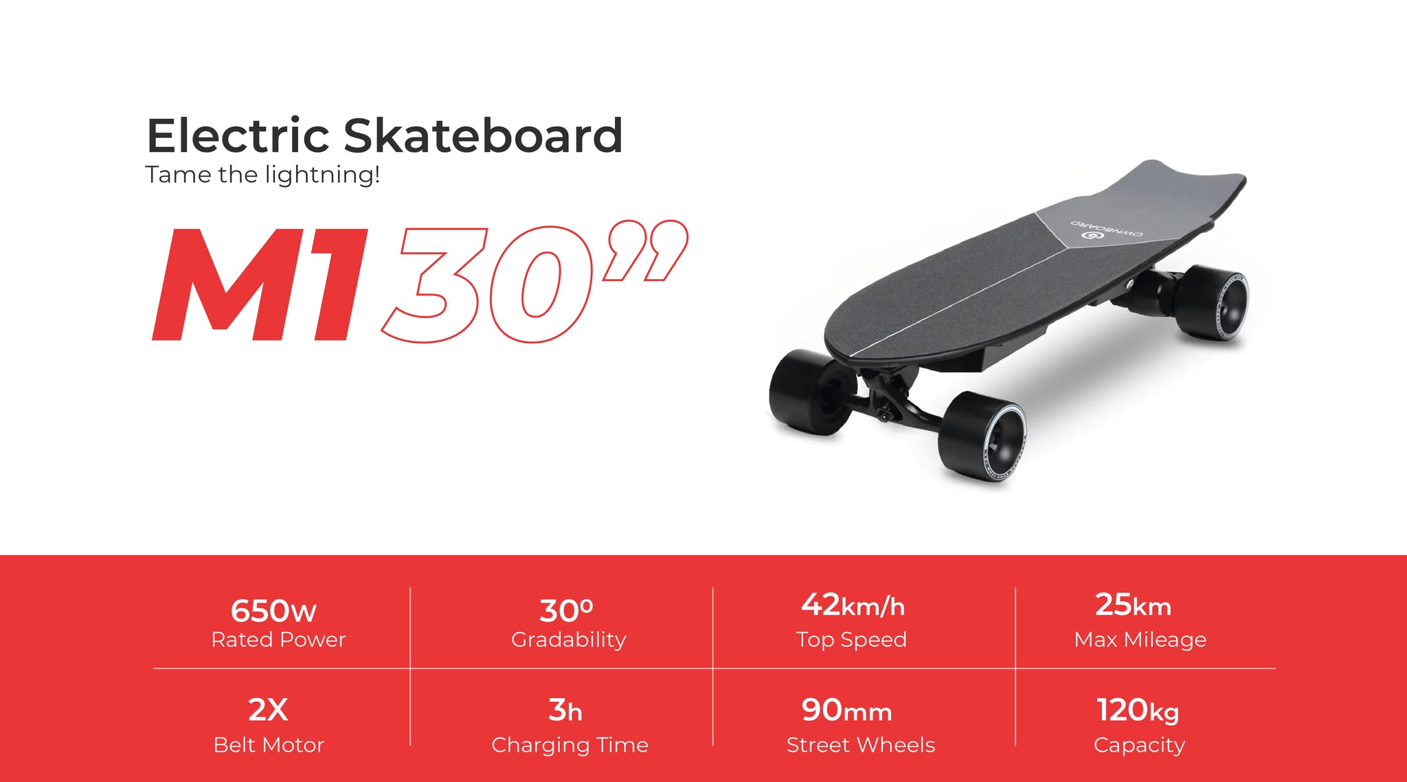 Electric Skate Board, Skateboards, India Skateboard,