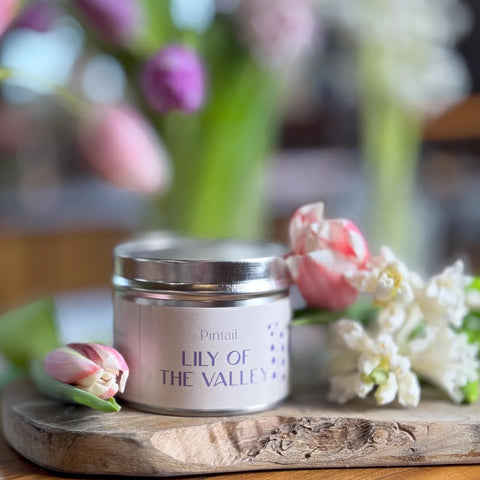 Lily of the Valley scented candle for sale at Source for the Goose, Devon