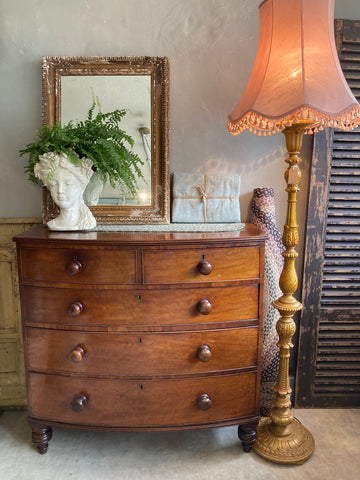 Mahogany Antique Chest of Drawers at Source for the Goose, Devon, UK