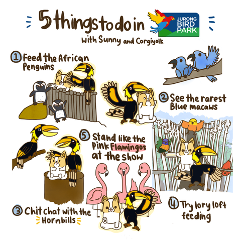 5 things to do in Jurong Bird Park