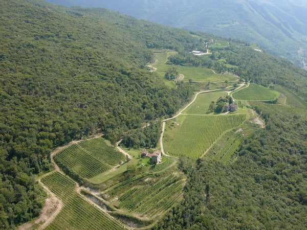 Trentino winery