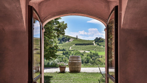 Cascina Gilli vigne