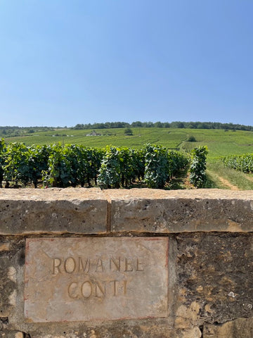 Romanée Conti vineyards