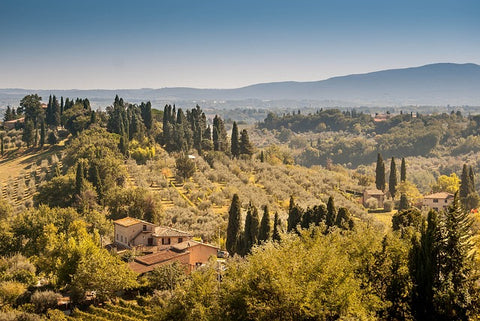 Tuscany hills vineyard