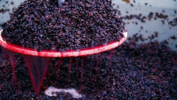 A phase of red winemaking