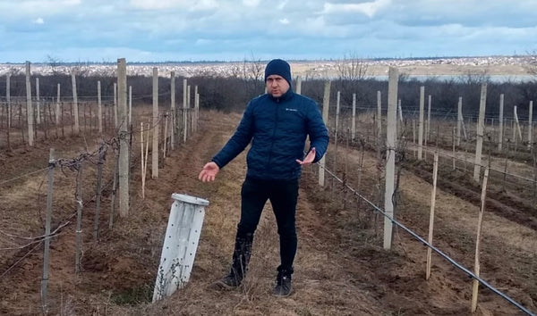 vigneto ucraino con una bomba