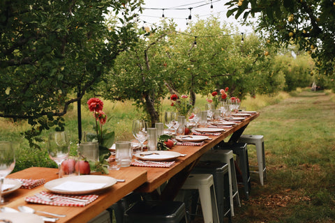 set table in an apple orchard