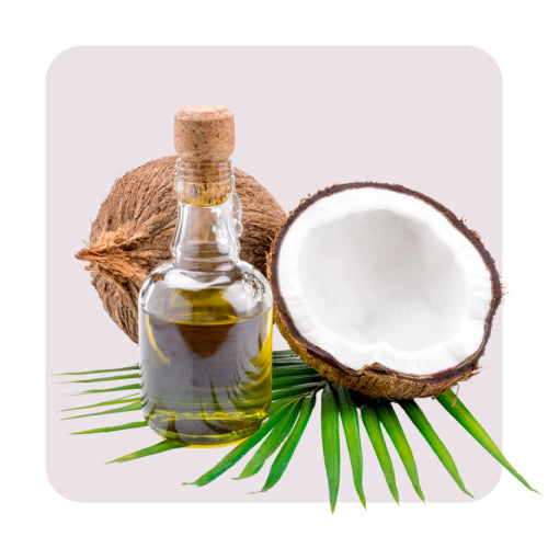 coconut_944ad73d-a7e8-4b6c-a652-29676f48ac1c