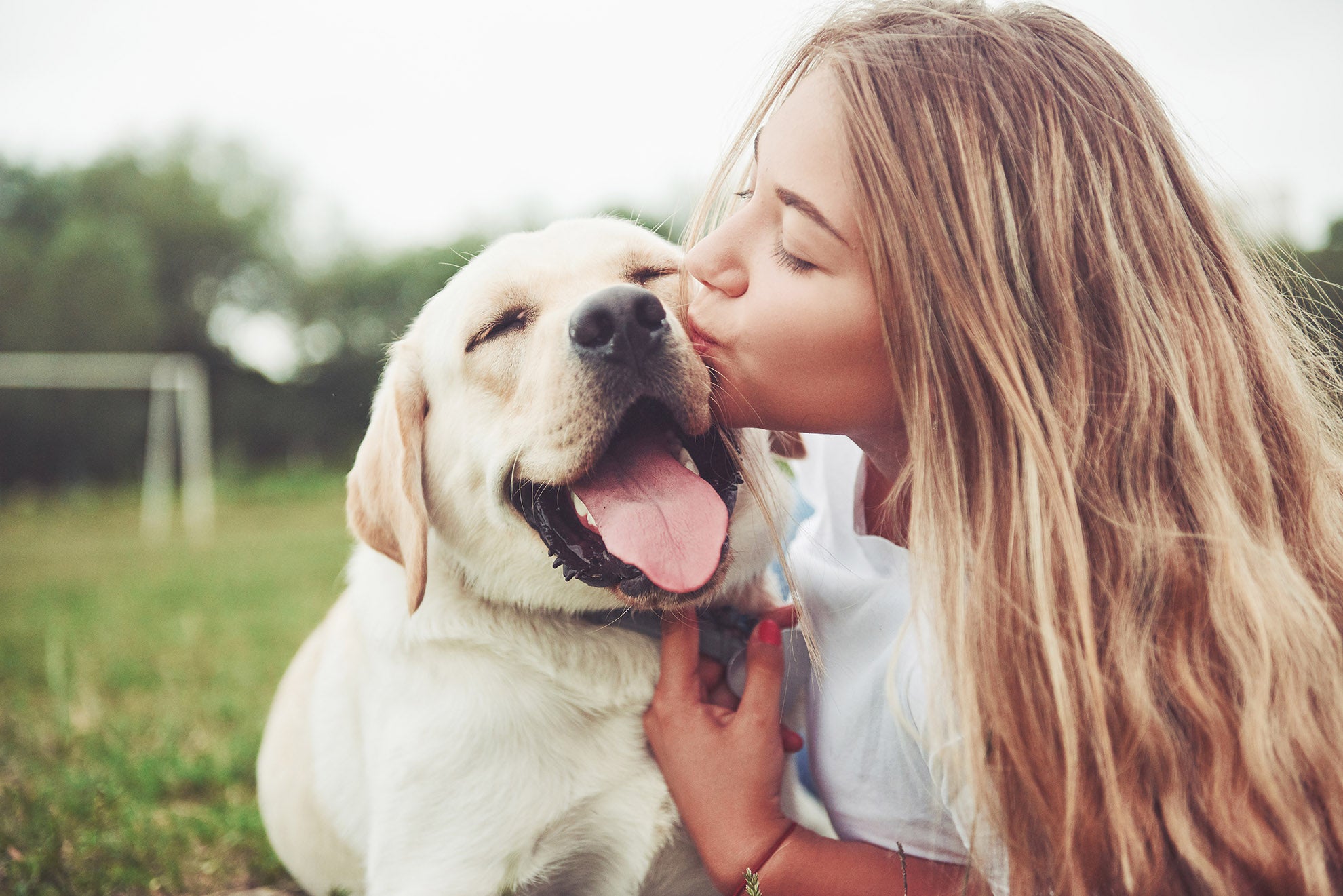 Mujeres que hacen el amor con los perros