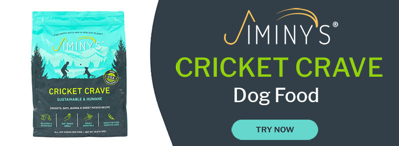 Try Our Cricket Crave Dog Food