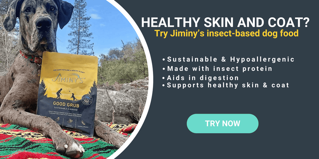 Try Jiminy’s Dog food for Healthy Skin and Coat