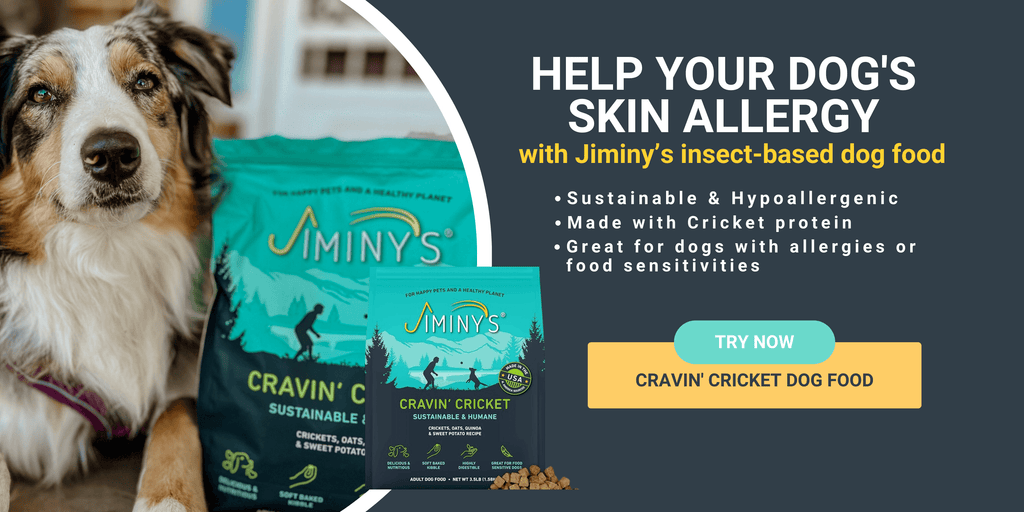 Help Your Dog's  Skin Allergy with Jiminy's