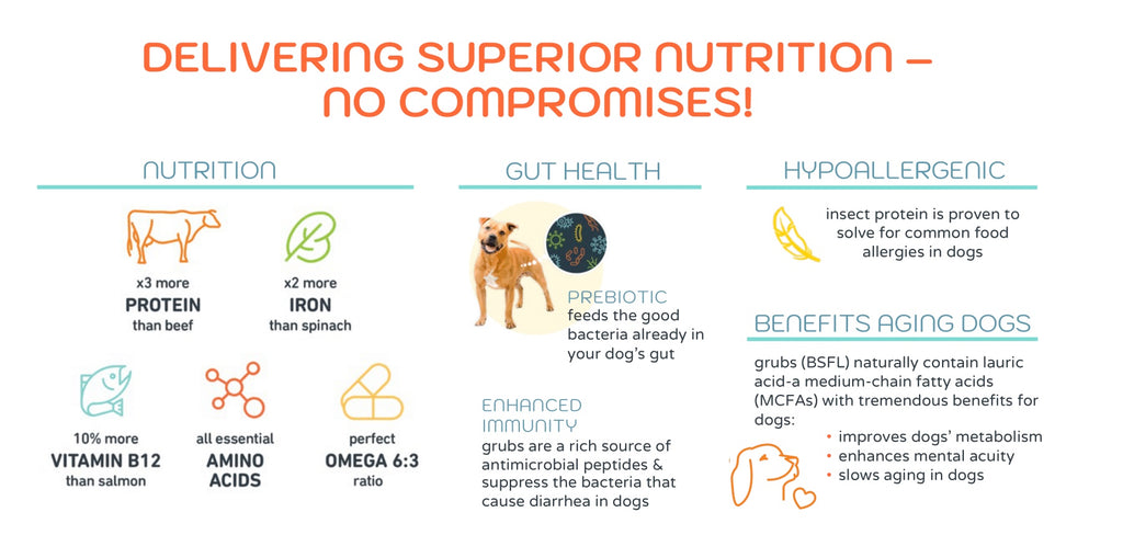insect based dog food nutrition graphic