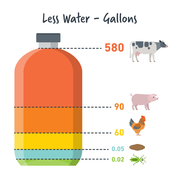 Jiminy's water usage vs traditional protein