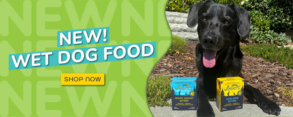 try Jiminy's new wet dog food for better digestive and gut health