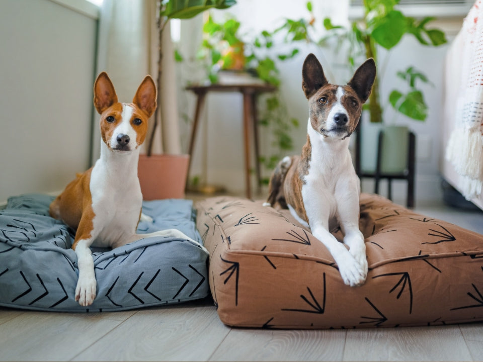 Molly Mutt - Upcycled Dog Bed Covers and Duvets