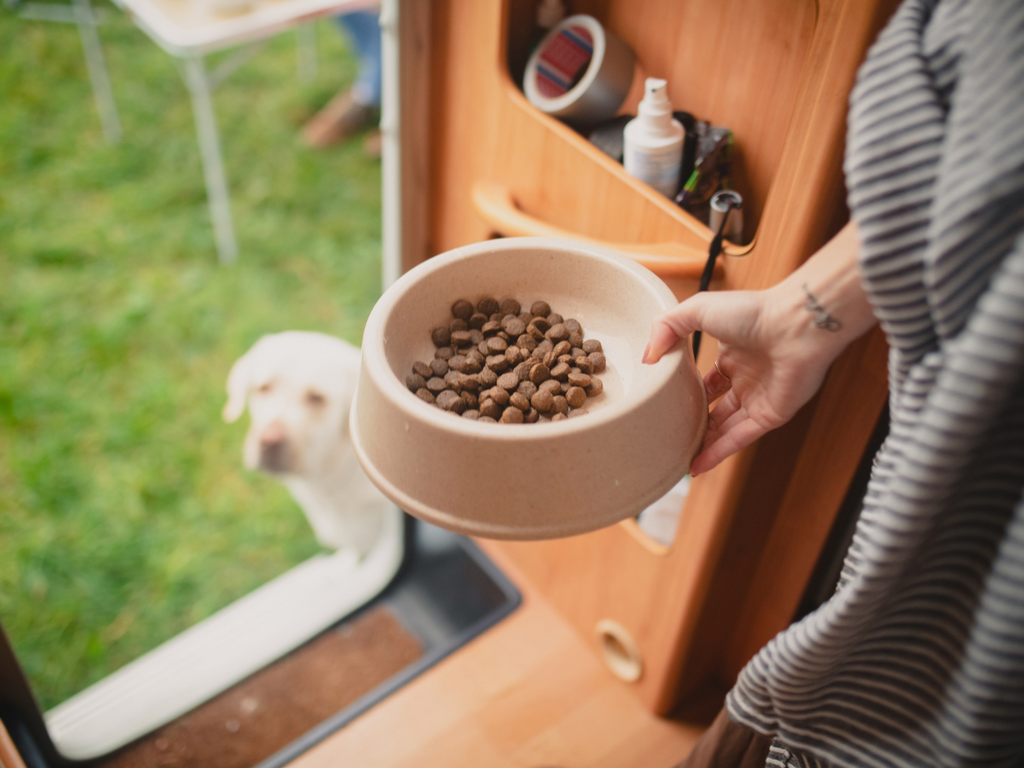 Packable Food Bowls dogs camping