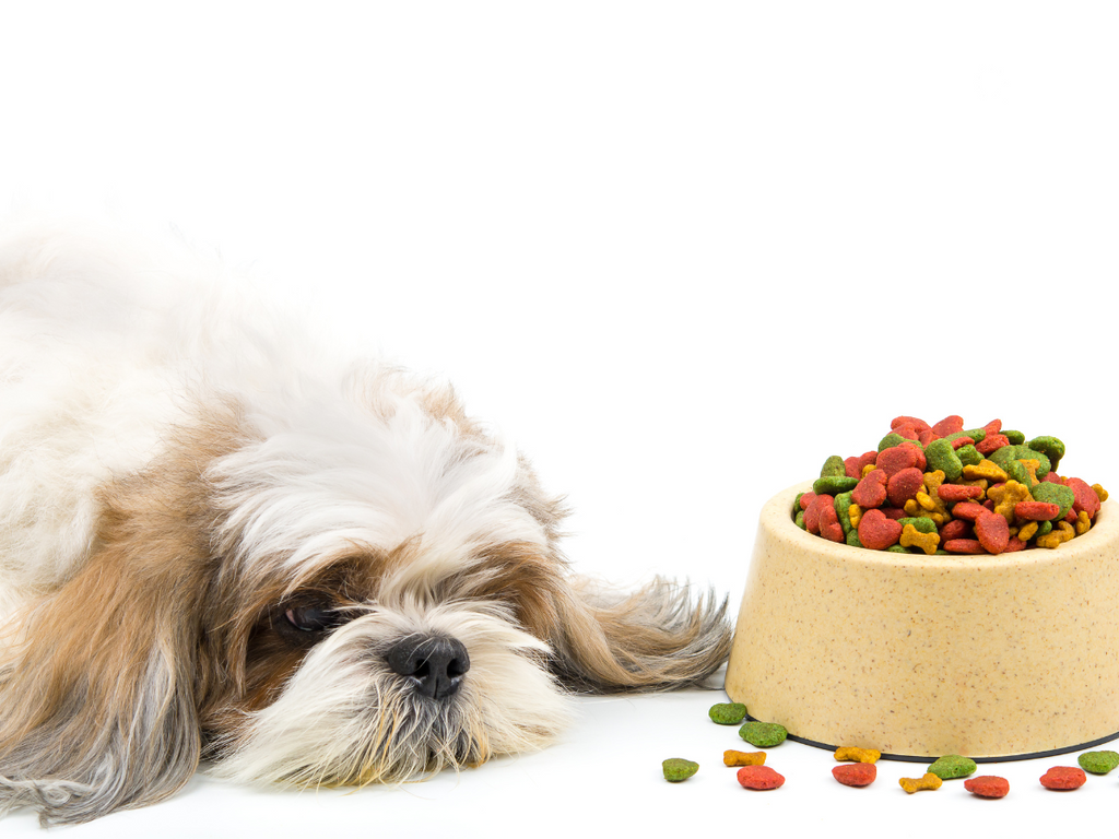 Symptoms of Changing Dog Food Too Quickly