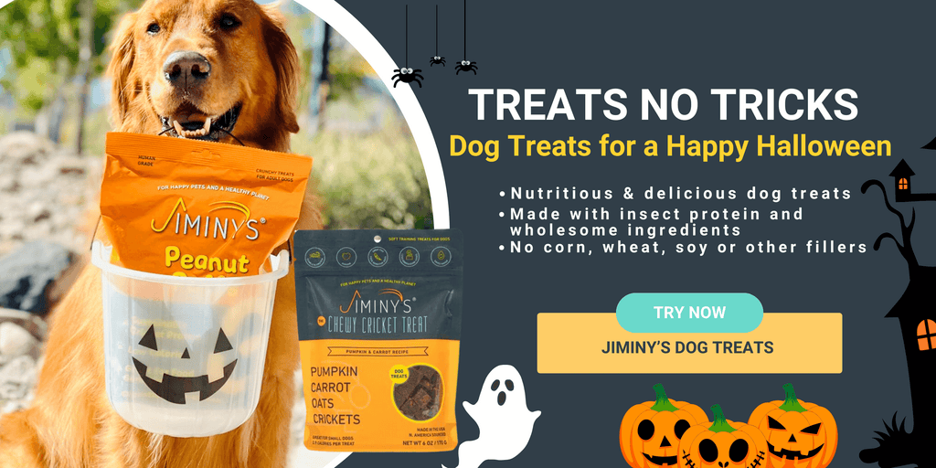 Keep your dog distracted from candy with Jiminy's nutritious dog treats