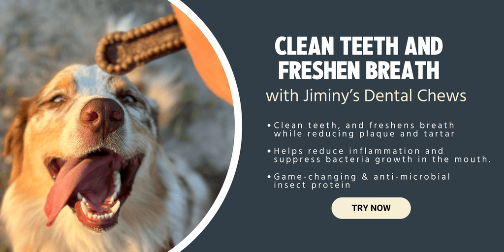 Jiminy’s Dental Chews