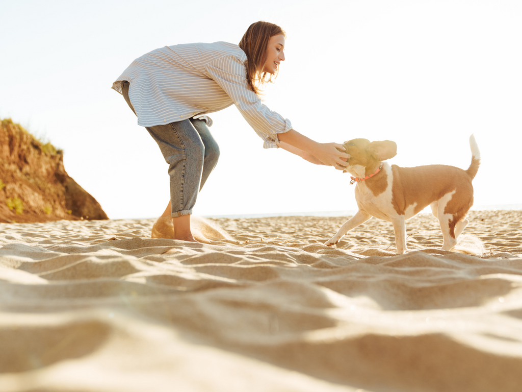 beach day with your dog