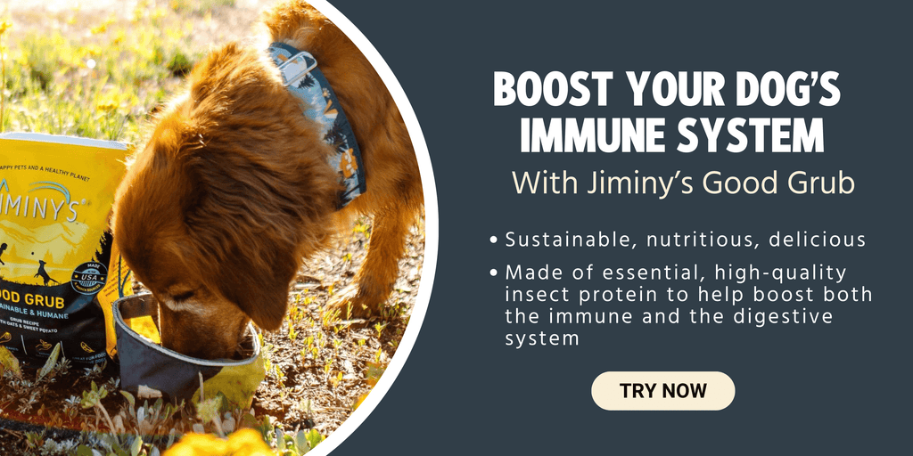 Boost your dog’s  immune system with Jiminy’s The Good Grub