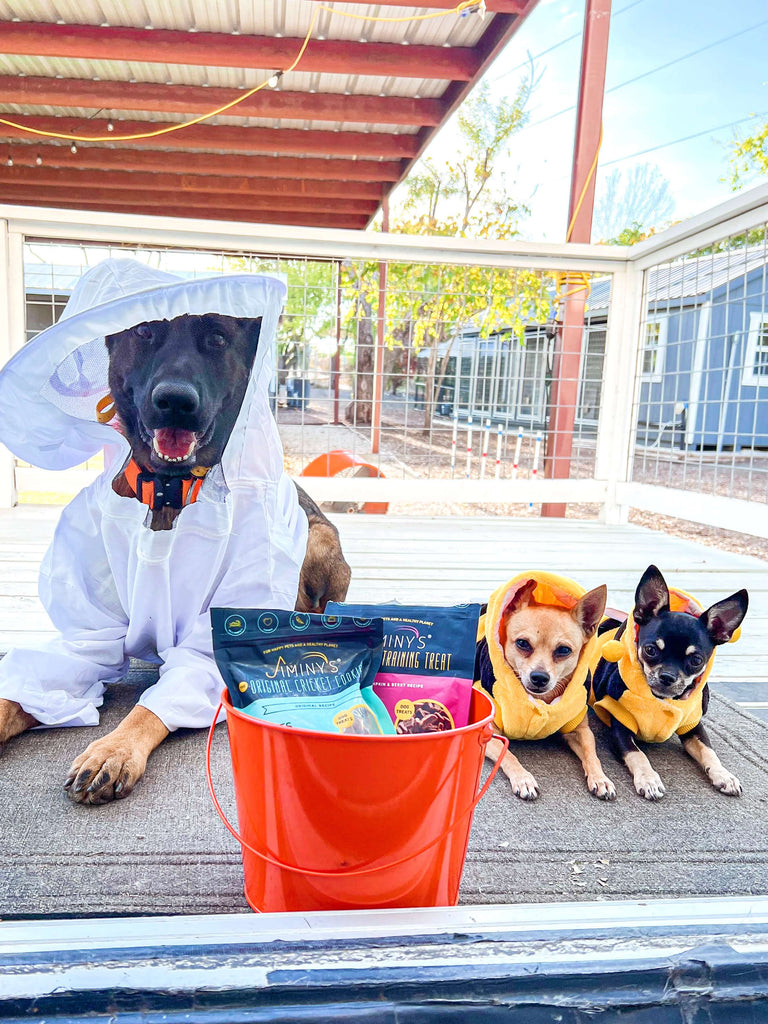 dog trick-or-treating