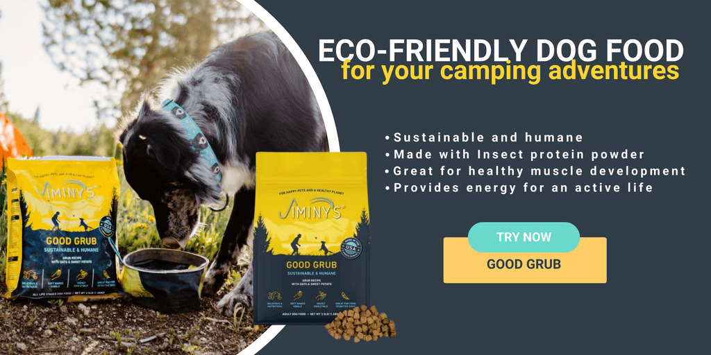 eco-friendly dog food  for your camping adventures