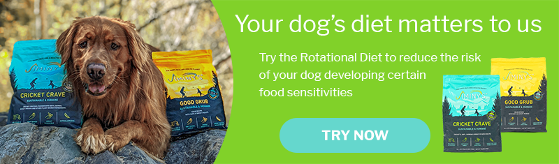 Try Our Cricket Crave and Good Grub Rotaional Diet Dog Food