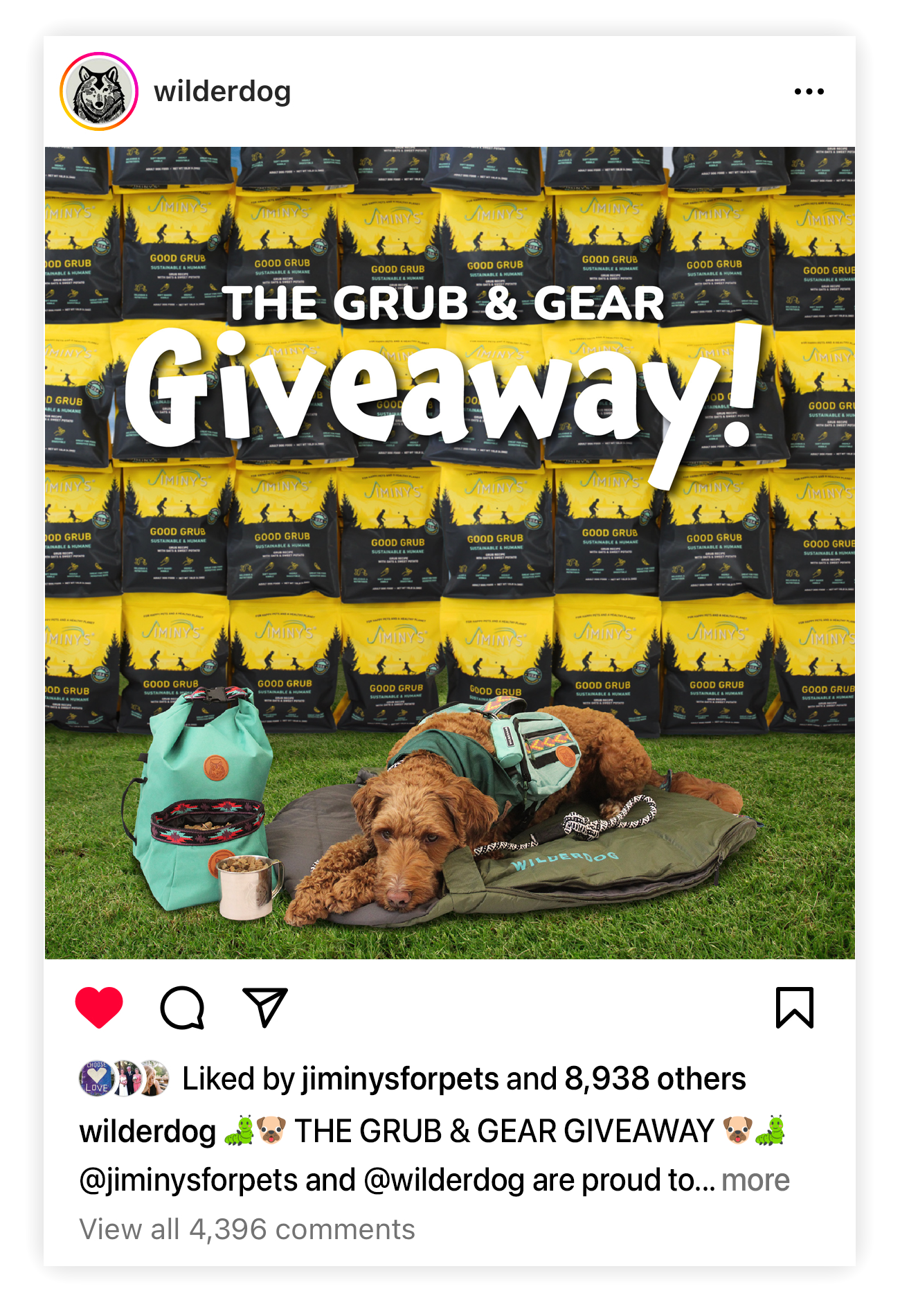 Jiminy's Instagram Giveaway