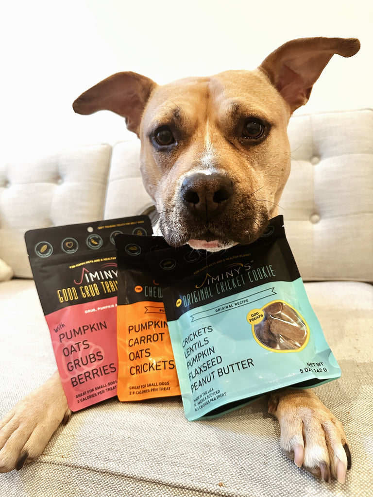 Dog treats available in multiple flavors