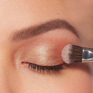 All-Over Eyeshadow Brush Details Image