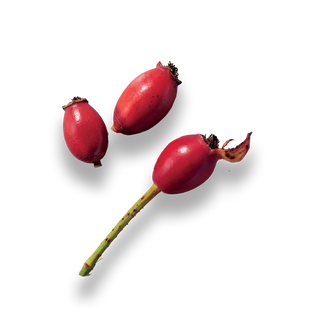 ROSEHIP OIL.png__PID:cbab1cfe-8388-4ade-a339-48b5f492f205