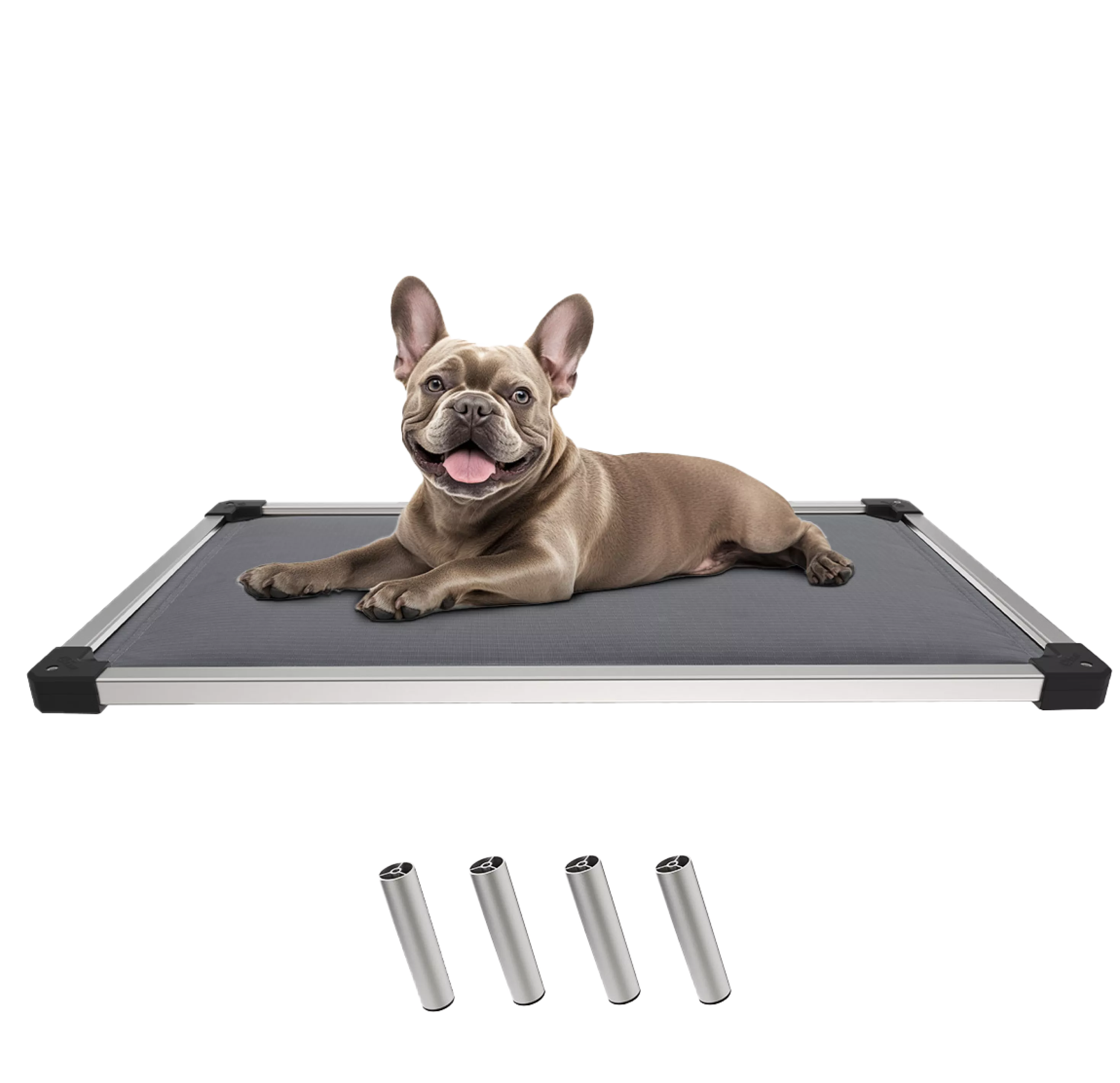 Dog beds.webp__PID:4e226414-6085-4dcb-8661-dce1de0f307b