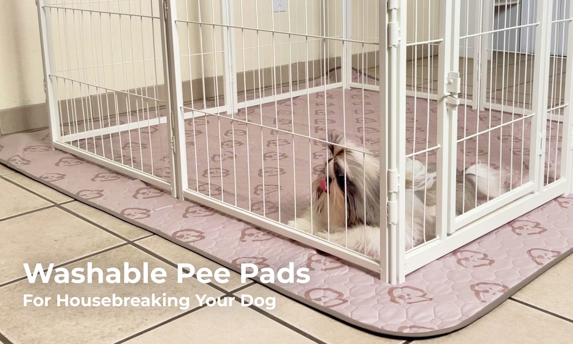 pee pad.jpg__PID:0f7906da-4774-423e-9439-17dfc9392a0d