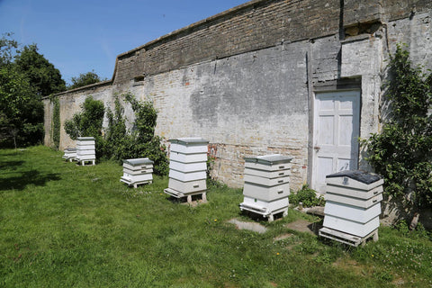 Beeble hives