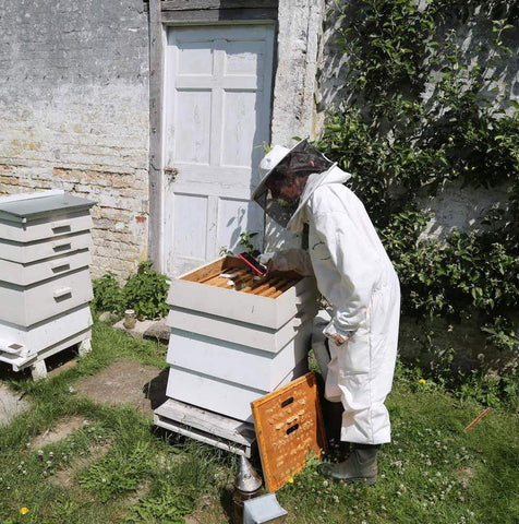 Beeble Honey Bee Hives