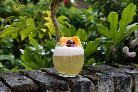 Honey Whisky Sour Cocktail