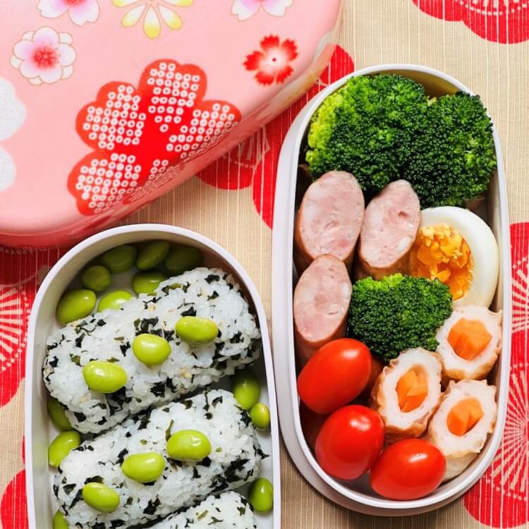 Geduld Wapenstilstand Afstudeeralbum Japanese bento box shop | Stylish & traditional lunch boxes