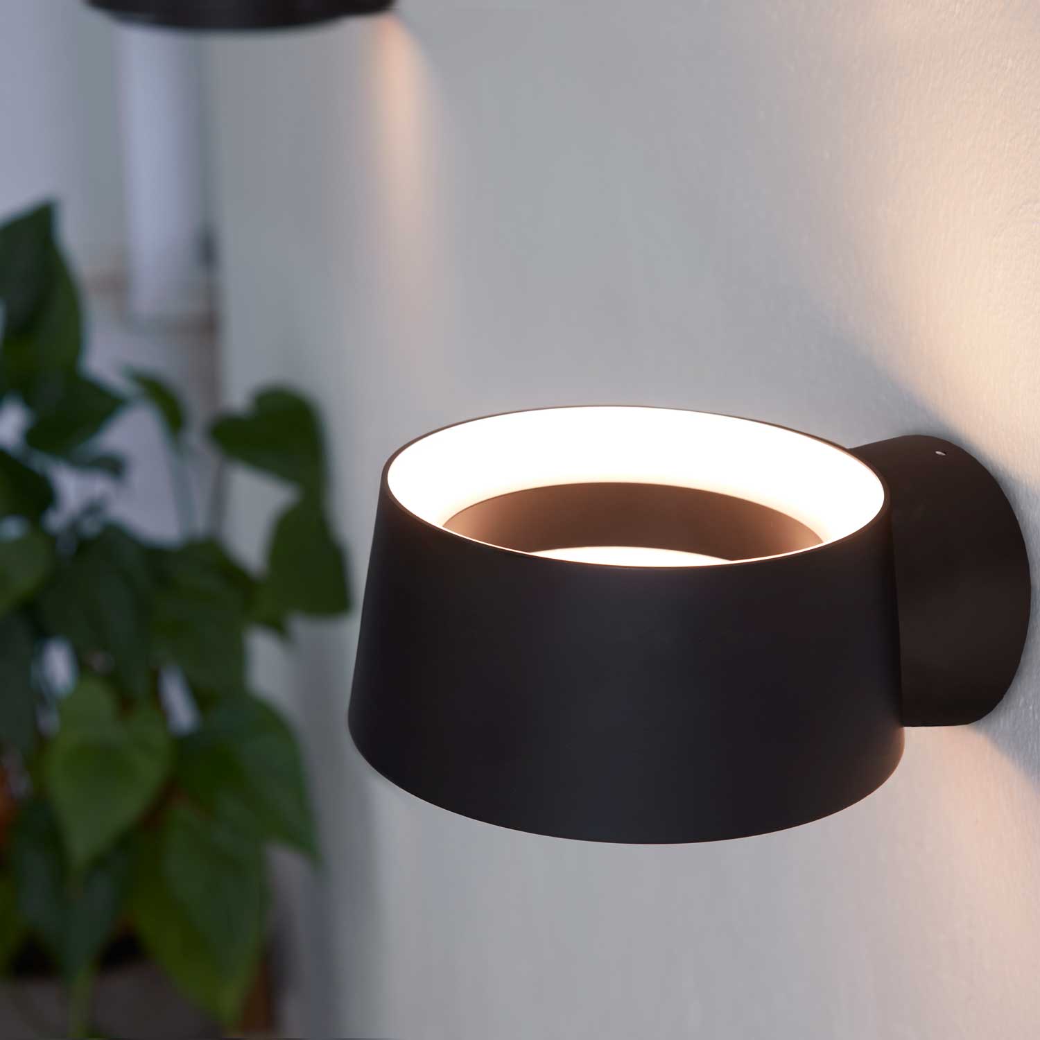 Se Cookie væglampe fra Loom Design hos Lamper4u