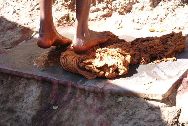 The fibres are wrung with feet completely impregnating them with dye.