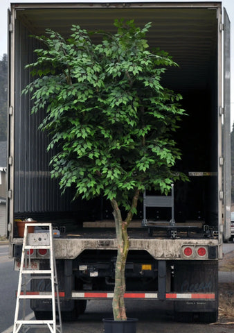 Artificial Silk Silver Birch Tree