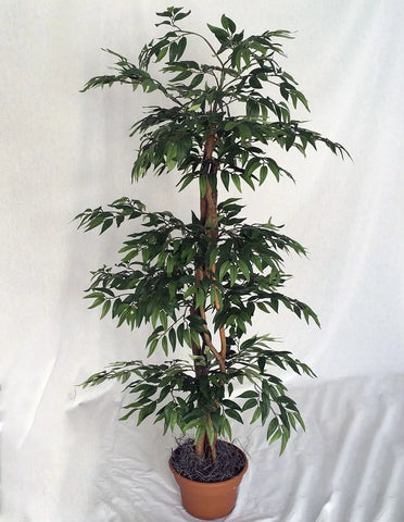 Artificial Silk Ruscus Tree
