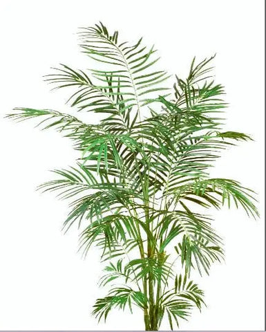 6 Foot Artificial Silk Areca Palm Tree