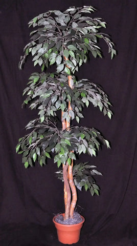 6 Foot Artificial Silk Fig Topiary Tree Made on Wood Green Leaves